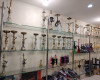 تاجير شيش معسل